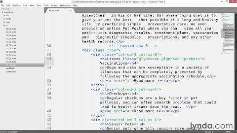 5 Incorporating Bootstrap 3 glyph icons