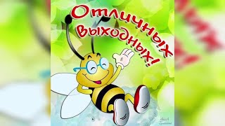 Увлекательное приключение Фантика