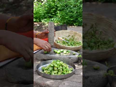 Gunda Nu Shaak | Gum Berry Curry Recipe | Indian Village Food