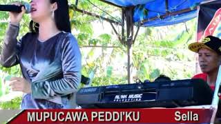 Lagu bugis mupucawa peddiku #alink #alinkstudio