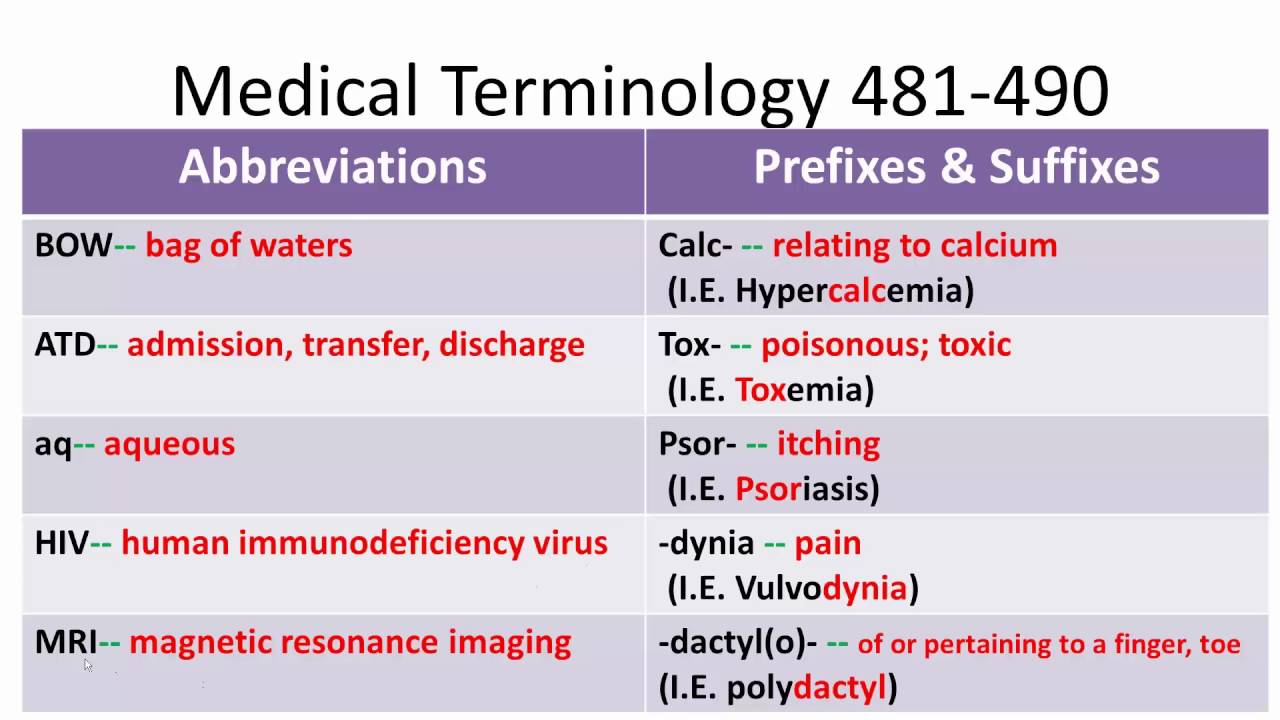 Medical Terminology 481 490 Youtube