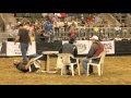 2015 Hell on Hooves: Roughstock Rodeo - BULL POKER