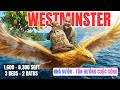 Mua Nhà Ở Mỹ Tại Westminster – Nhà Vườn Rộng, Mua Là Giữ Tiền, Ở Là Hưởng Thụ!