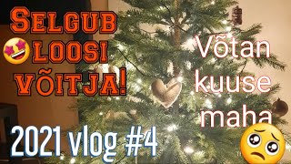 Vlog 4 | 500 tellija loosi VÕITJA + võtan kuuse maha + pläkutan | LIHTSALT MARIA