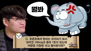 유준호가 말하는 코끼리를 본다면?! [　  ]라고 한다. [억섭호] screenshot 3