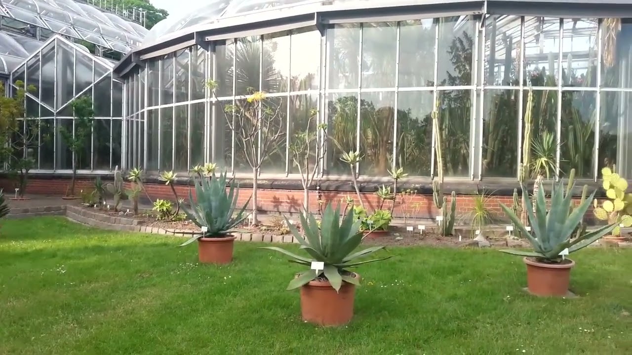 Giardino delle Palme a Berlino