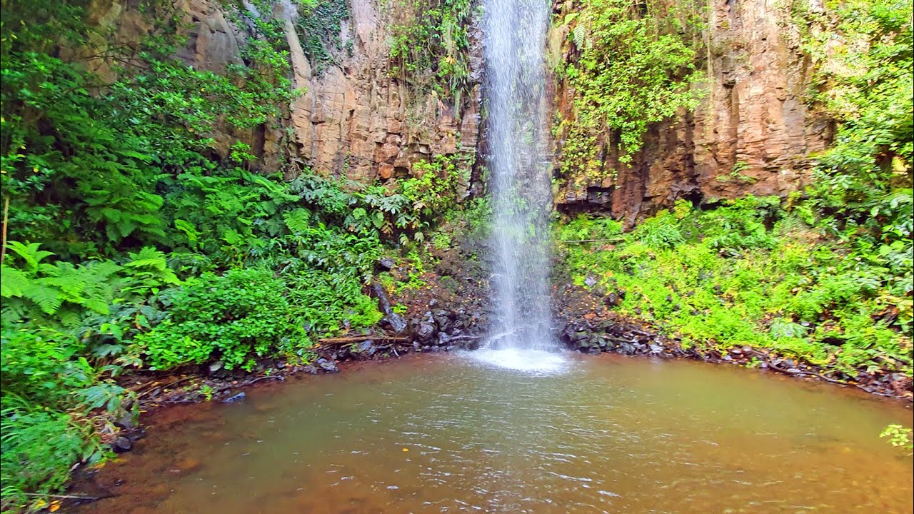 Madeira - Cascata Aguage (Santana)