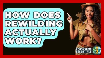 How Does Rewilding Actually Work? - Ecosystem Essentials