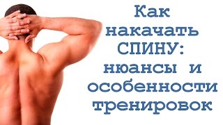 видео: Как накачать  спину: нюансы и особенности тренировок картинка: Как накачать  спину: нюансы и особенности тренировок