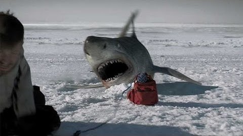 史上最恐の巨大人喰いサメ現る！／映画『ディープブルー・ライジング』DVD予告編