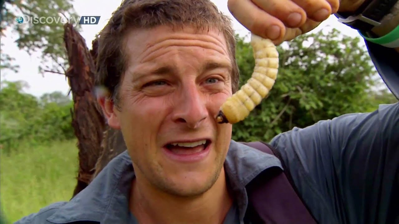 Bear Grylls äter mask