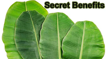 How do you eat banana leaves?