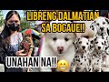 Bocaue pet market update libreng dalmatian sa bocaue panalo ang mga buyer sa promo vlog817