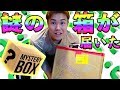 謎の大ダンボール箱が日本からUCLAの僕の元に届いた！さて中身はなんだ！？