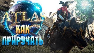 КАК ПРИРУЧАТЬ ХИЩНИКОВ В ATLAS - ПРИРУЧИЛ ВОЛКА КАК ПРИРУЧАТЬ ХИЩНИКОВ В ATLAS - ПРИРУЧИЛ ВОЛКА