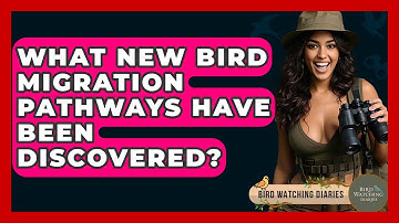 What New Bird Migration Pathways Have Been Discovered? - Bird Watching Diaries