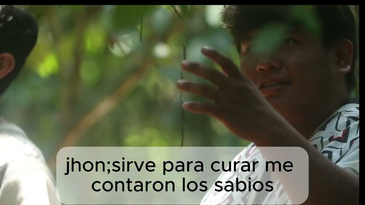 All Videos