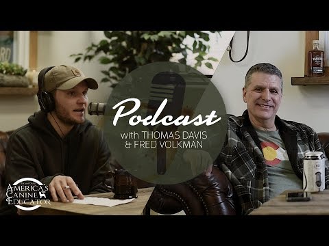 no-bad-dogs-podcast-episode-5---dog-owner-vrs-dog-trainer