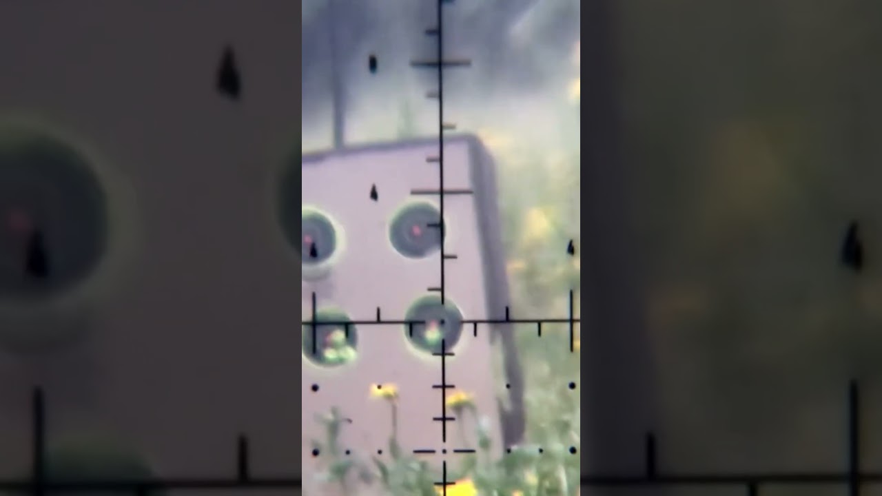 The Epic One shooting Zan slugs works a treat 🎯