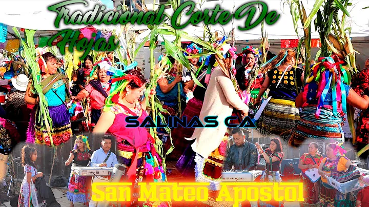 Tradicional Corte De Hojas En Honor A San Mateo Ap...