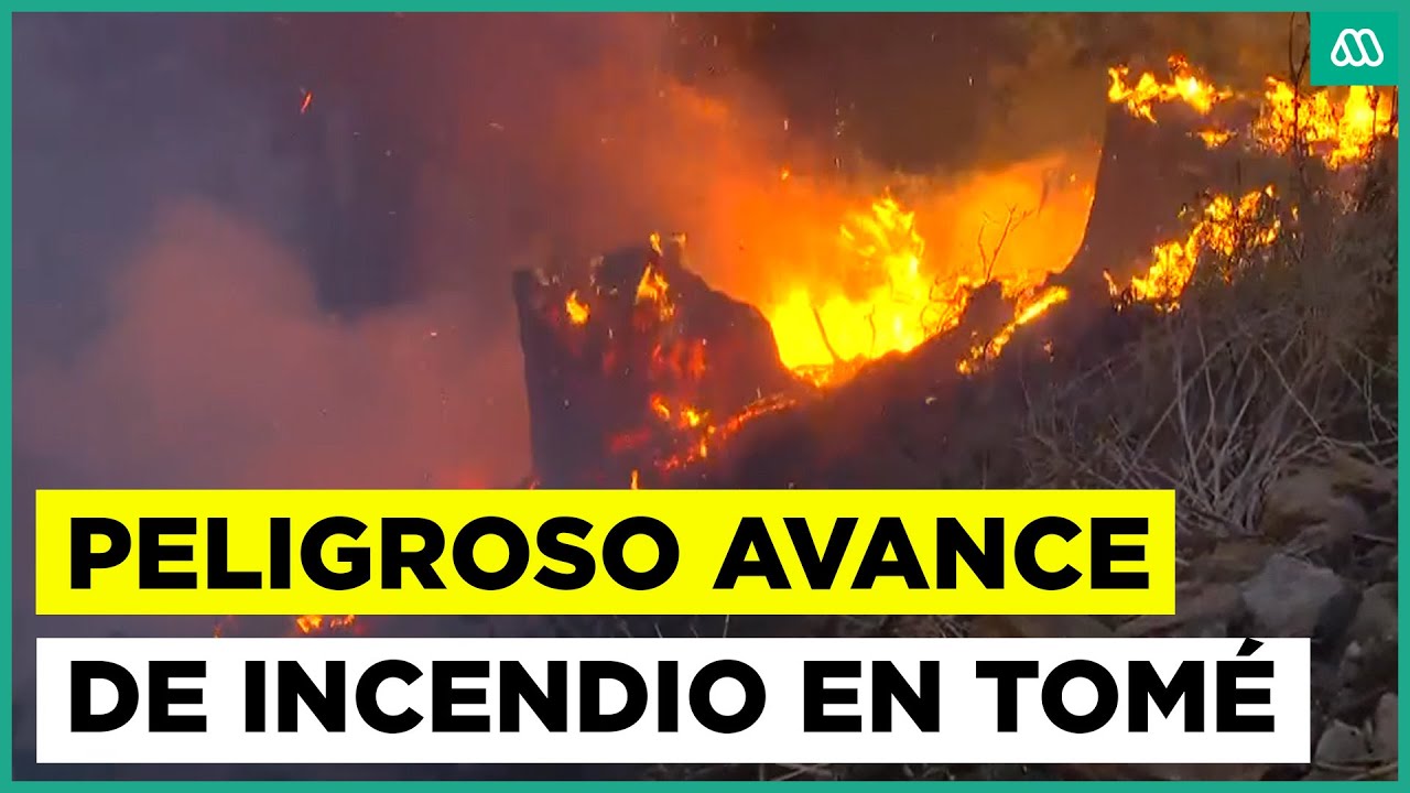 Peligroso avance de incendio en la comuna de Tomé