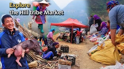 Khám Phá Chợ Cán Cấu Simacai: Bí Ẩn Lợn Cắp Nách, Chó H