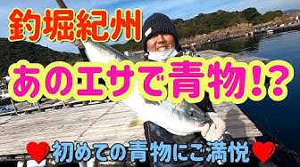 釣り堀紀州 Youtube 釣り堀紀州 Youtube