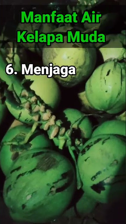 Masih Kecanduan Narkoba? Obatnya Kelapa Muda