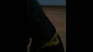 りゅうやのナップザック