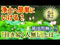往き易くして人無し《易往而無人》①とは【なごやか仏教437】