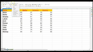 Consolidating Data in OpenOffice Calc | Class 10 Information Technology