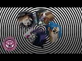 Gorillaz  momentz feat de la soul visualizer