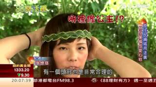 3-1  花東走跳 | 88樂活趣 35 | 三立財經台CH88