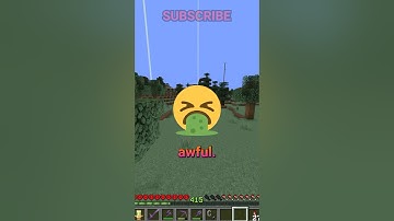 Hot Take: Shaders Ruin Minecraft!