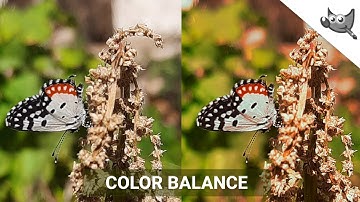 GIMP: How to use Color Balance Tool.