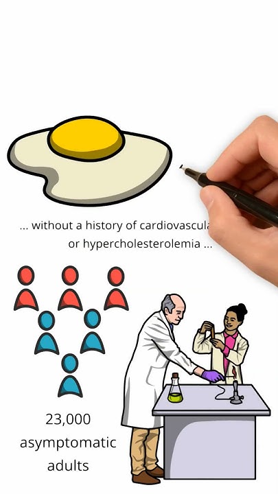 can-eggs-cause-artery-calcification-youtube