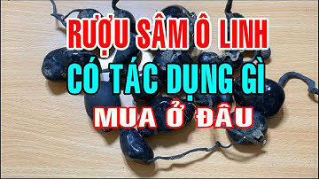 Sâm ô linh có tác dụng gì - Sâm ô linh ngâm rượu - Cách ngâm rượu sâm ô linh