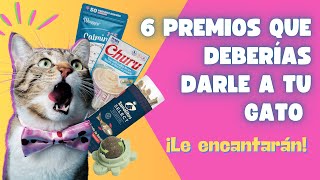 LOS MEJORES PREMIOS DE COMIDA PARA TU GATO / ALIMENTACIÓN SALUDABLE PARA TU GATO