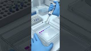 Agarose Gel Electrophoresis, a key technique for DNA separation and analysis in molecular biology
