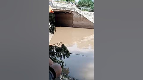 Đi câu cá mương nước nhỏ, lên cả bầy cá chốt giấy