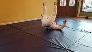 Intro to BJJ Warm Up Exercise: Breakfalls to Technical Stand Up | Procel BJJ | Jersey City BJJ