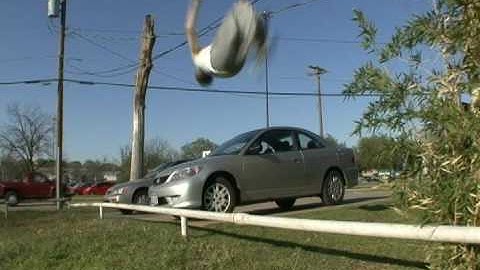 Tapp Brothers - Parkour / Freerunning