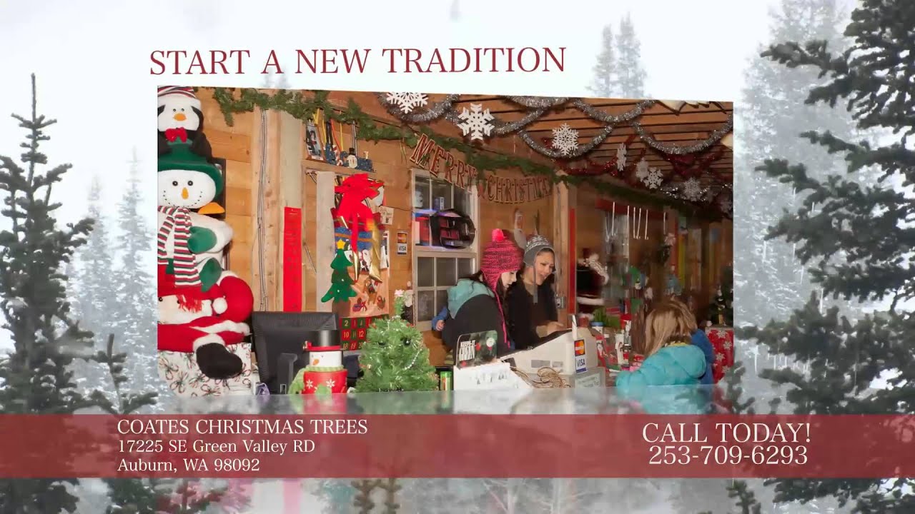 UCut Christmas Trees WA Coates Christmas Trees in Auburn WA
