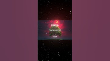 سورة المؤمنون|93-105|القارئ:#محمد_اللحيدان #قران #quran#راحة_نفسية#قران_كريم#تلاوة_هادئة#تلاوة_خاشعة