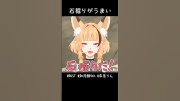 石掘りがうまい #shorts #vtuber #rust #如月鯖4th #切り抜き