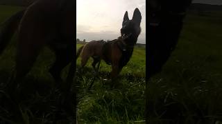 Learning And Growing