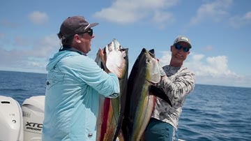 Zancudo Lodge 2025 Video