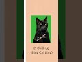 Best Cat Memes at all time Pt.14