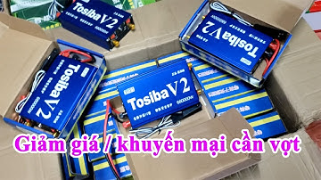 Kích cá giá rẻ Tosiba v2 _ khuyến mại cần vợt