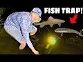 Night-Time FISH TRAP Catches CRAZY Fish!! (Using Them as Bait)